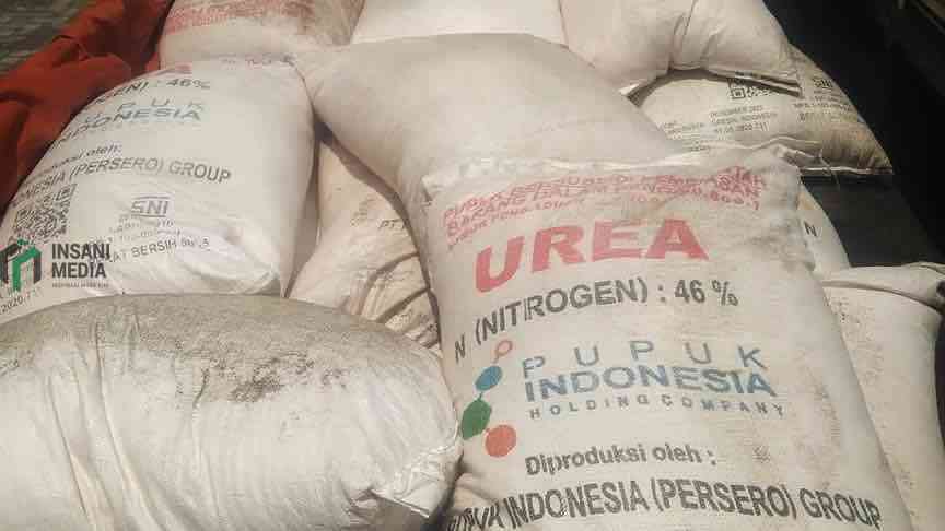 Harga Urea Global Melambung Imbas Konflik Timur Tengah, Stok dan HET Pupuk Domestik Dipastikan Aman Pupuk Bersubsidi