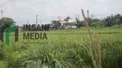 Lahan Pertanian Kota Blitar Menyusut, Pemkot Siapkan LP2B