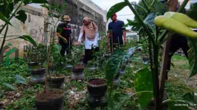 IMG 20260520 195857