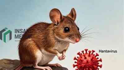 Ilustrasi Hantavirus