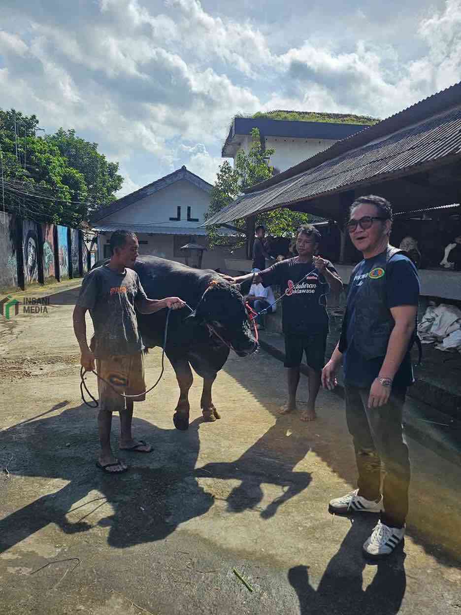 Scooter Owners Group Jakarta Selatan Pilih Sapi dari Purworejo untuk Kurban, Berapa Beratnya ? SOG Jakarta Selatan Memilih Sapi dari Purworejo Jawa Tengah untuk Kurban di Hari Raya Idul Adha