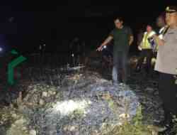 Lansia di Wonotirto Blitar Ditemukan Meninggal di Ladang Tebu