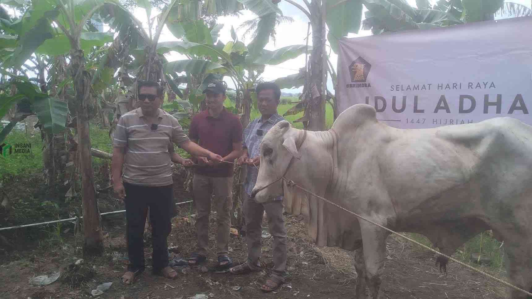 Wakil Ketua Umum DPP Partai Gerindra Prasetyo Hadi Menyalurkan Hewan Kurbna untuk Warga Desa Mendiro Kecamatan Ngombol Kabupaten Purworejo Jawa Tengah