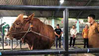 Presiden Prabowo Beri Sapi Kurban untuk Kecamatan Sukorejo, Kota Blitar