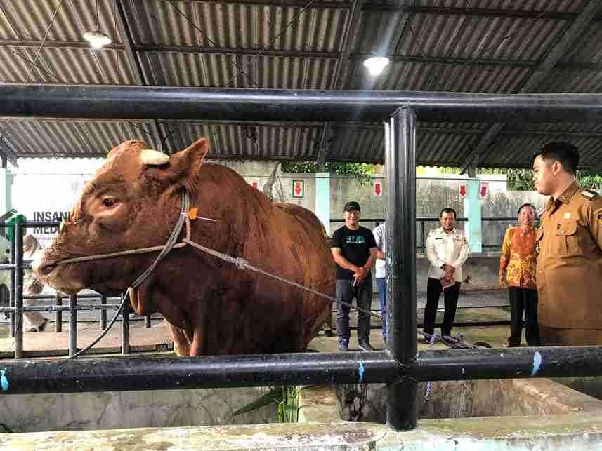 Wali Kota Blitar Syauqul Muhibbin Melihat Sapi Kurban dari Presiden Prabowo