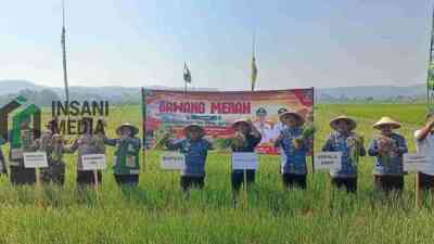 Panen Raya Perkuat Posisi Bawang Merah Margomulyo Jadi Komuditas Unggulan Blitar Selatan