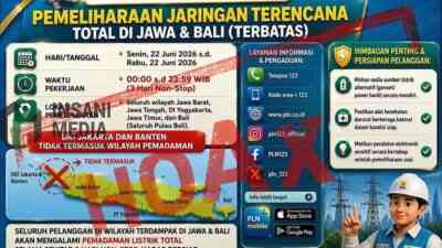 Beredar Flyer Pemadam Listrik Selama 3 Hari, Begini Kata PLN