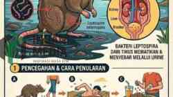 Uji Lap pada Tikus, Dinkes Kota Blitar Minta Warga Tingkatkan Kewaspadaan Leptospirosis