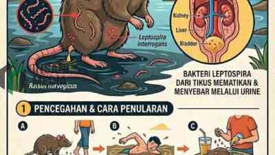 Uji Lap pada Tikus, Dinkes Kota Blitar Minta Warga Tingkatkan Kewaspadaan Leptospirosis