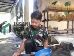 Suhu Dingin Picu 10 Ribu Ikan Cupang Mati di Kediri Mati Membeku, Peternak Kediri Rugi Rp50 Juta