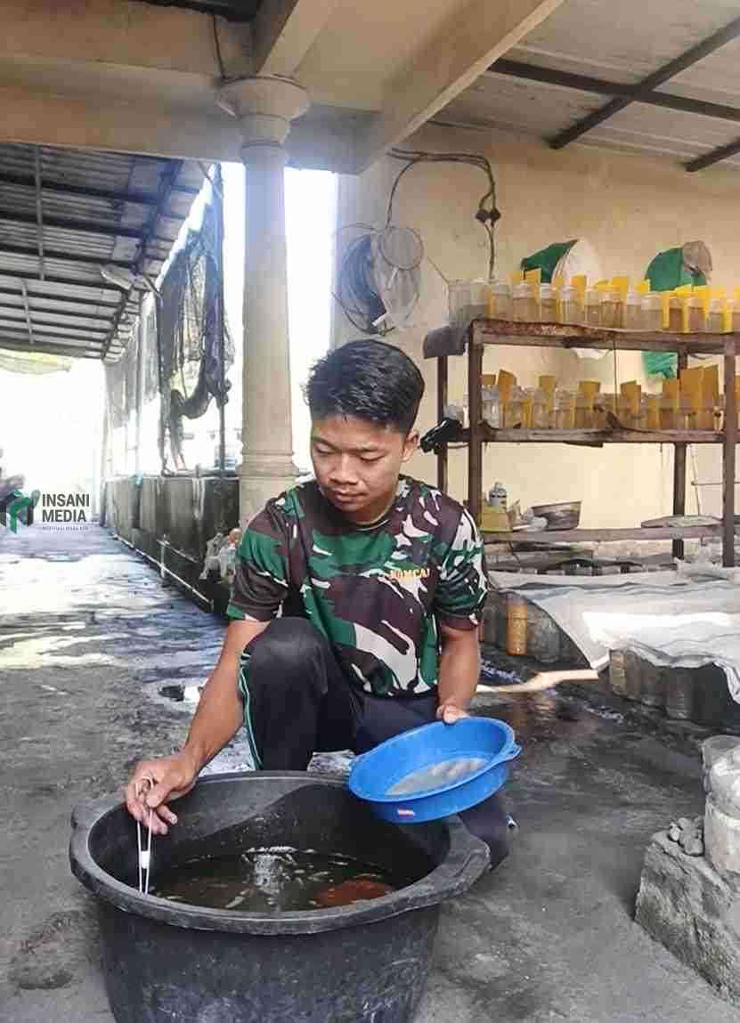 Andriyansah Peternak Ikan Cupang di Kediri