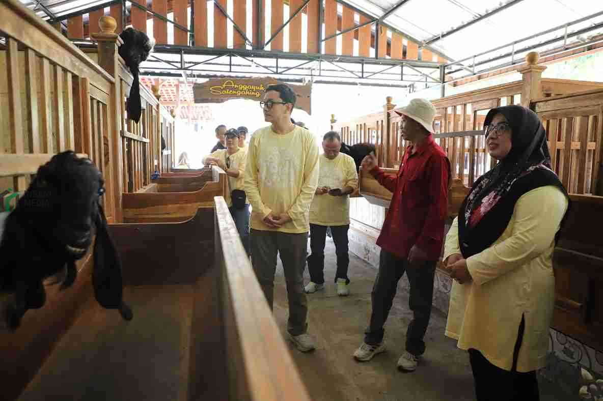 Bupati Purworejo Yuli Hastuti Bersama Wakil Bupati Dion Agasi Setiabudi saat Mengunjungi Peternakan Kambing di Purworejo