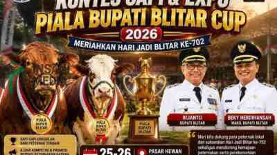Flyer Kontes Sapi Hari JAdi Blitar