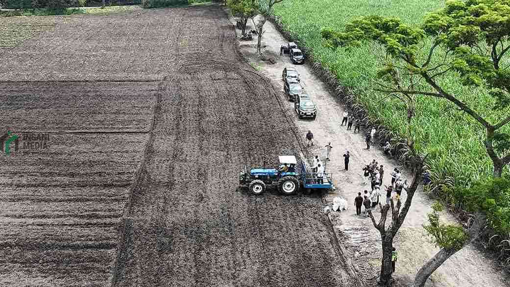 Menilik Jejak Sejarah HGU Kebun Dhoho Kediri, Dari HGU hingga SGN Hak Guna Usaha HGU Kebun Dhoho di Kecamatan Plosoklaten Kabupaten Kediri yang kini berada di bawah PT Sinergi Gula Nusantara SGN