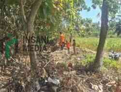 Dua Desa di Wates Mulai Kekeringan, BPBD Blitar Siapkan Distribusi Air Bersih