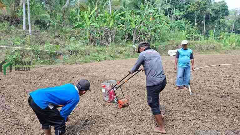 UMNU Kebumen kembali menggelar Program Pengabdian kepada Masyarakat PKM Pemberdayaan Desa Binaan PDB di Desa Sendangdalem Kecamatan Padureso Kabupaten Kebumen