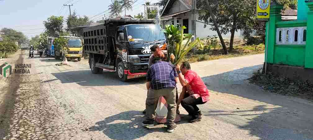 Warga Karangrejo, Garum Tanam Pohon Pisang di Jalan Rusak, PUPR Blitar Jadwalkan Perbaikan Mulai Agustus Warga Desa Karangrejo Kecamatan Garum Kabupaten Blitar menanam pohon pisang di tengah ruas jalan yang rusak