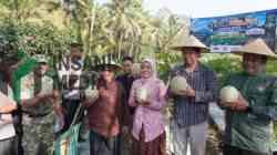 Panen Melon Perdana, Bupati Blitar Bidik Melon Desa Kalitengah Jadi Sentra Unggulan Bupati Blitar Rijanto Panen Melon di Desa Kalitengah Kecamatan Panggungrejo