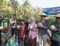 Panen Melon Perdana, Bupati Blitar Bidik Melon Desa Kalitengah Jadi Sentra Unggulan