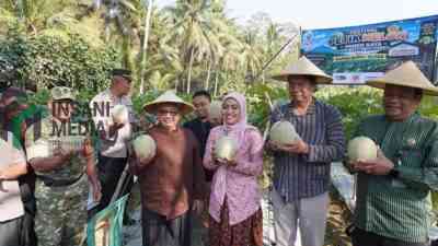 Bupati Blitar Rijanto Panen Melon di Desa Kalitengah Kecamatan Panggungrejo