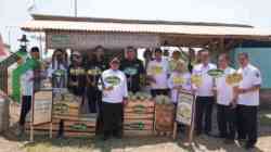 Melon Kabupaten Blitar Go International, Petani Lokal Buktikan Produk Daerah Bisa Tembus Ekspor
