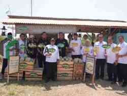 Melon Kabupaten Blitar Go International, Petani Lokal Buktikan Produk Daerah Bisa Tembus Ekspor