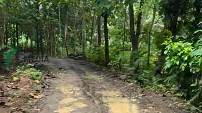 Aspirasi Warga Didominasi Jalan dan Irigasi, Komisi 3 DPRD Kabupaten Blitar Minta Infrastruktur Blitar Selatan Dipercepat