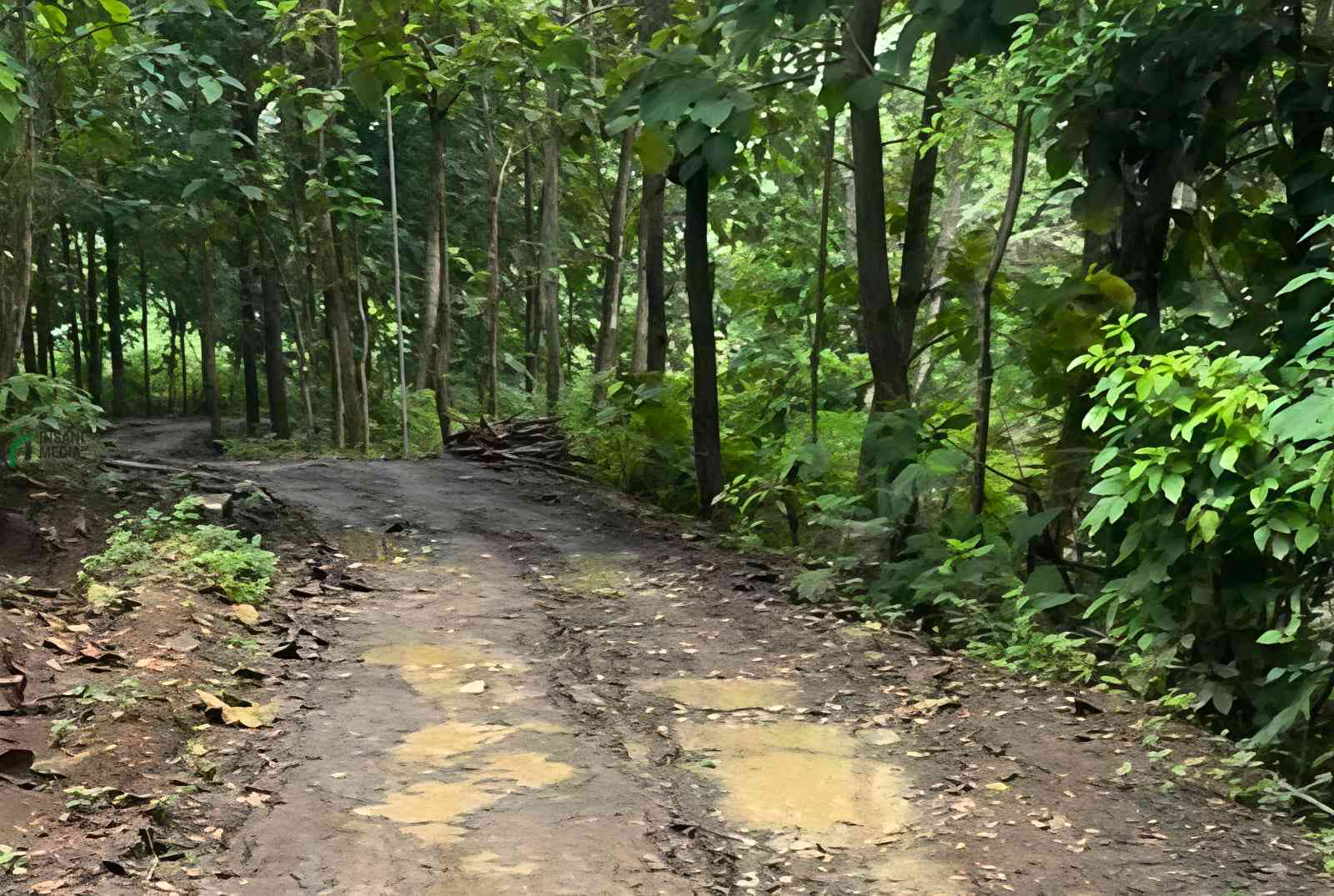 IMG 20260816 WA0048