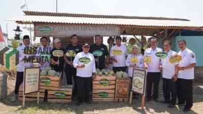 Melon Kabupaten Blitar Go International, Petani Lokal Buktikan Produk Daerah Bisa Tembus Ekspor