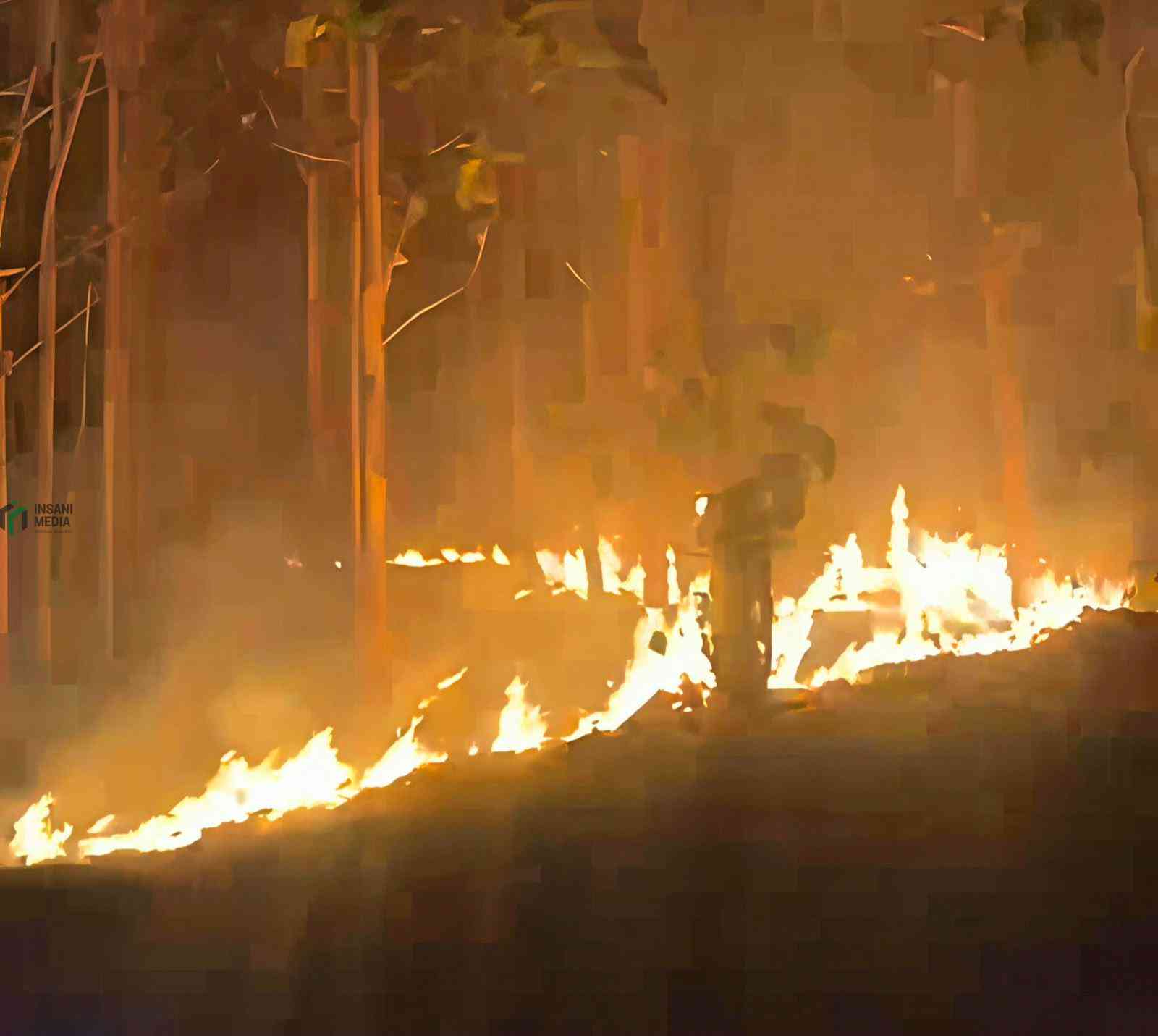 Kebakaran Hutan di Blitar Dok