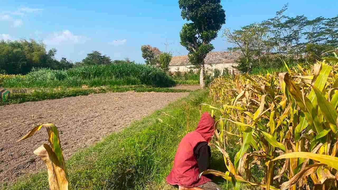 Perluasan TPA Kota Blitar Tertahan Status LSD, DPRD Minta Kajian Dimatangkan Lahan Sawah Dilindungi LSD di Dekat Tempat Pembuangan Akhir TPA di Kota Blitar