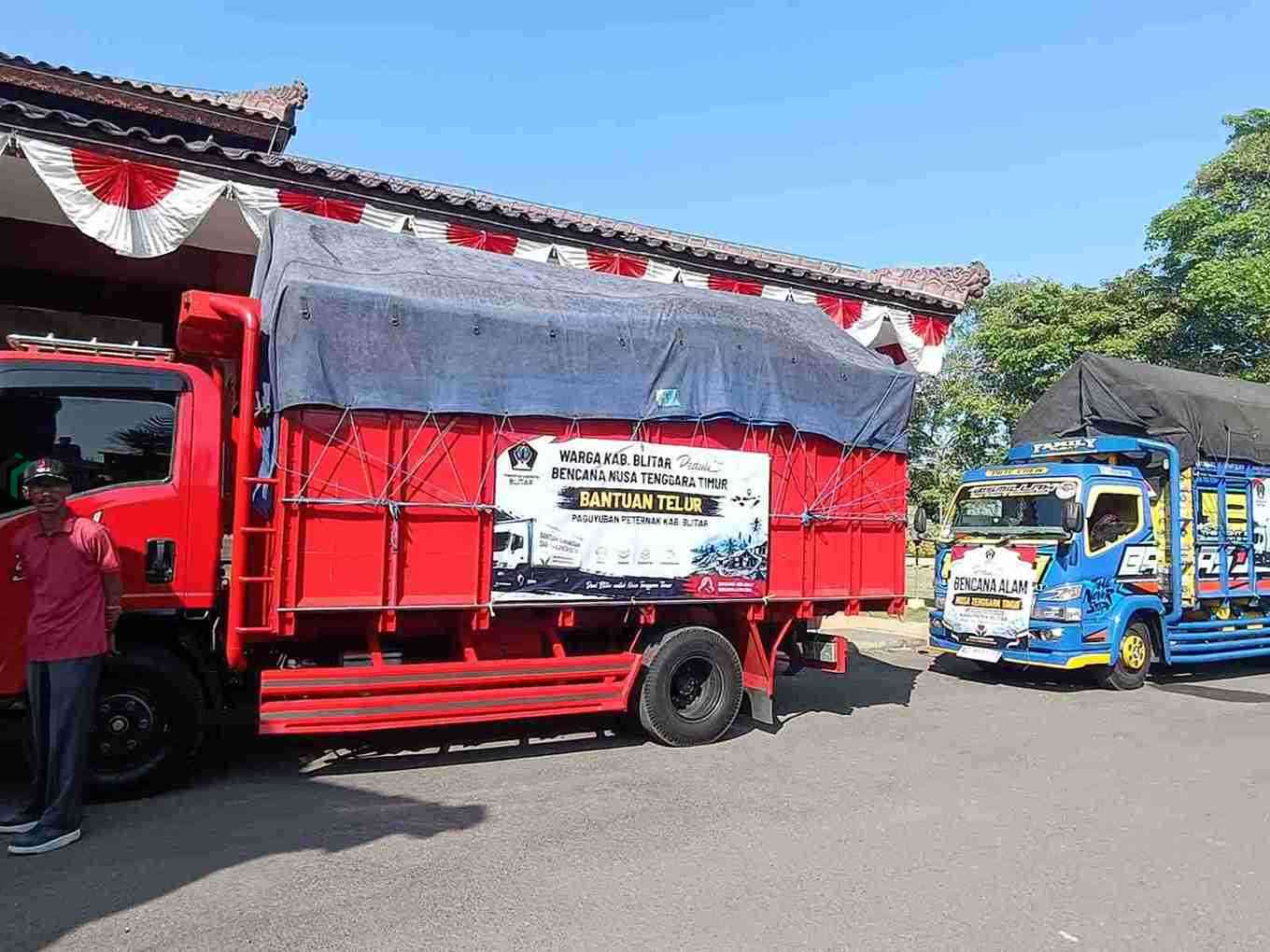 Peternak Ayam Petelur di Kabupaten Blitar Kirim 8,7 Ton Telur untuk Penyintas Gempa NTT Peternak Ayam Petelur di Kabupaten Blitar Kirim 87 Ton Ayam Bagi Penyitas Gempa NTT