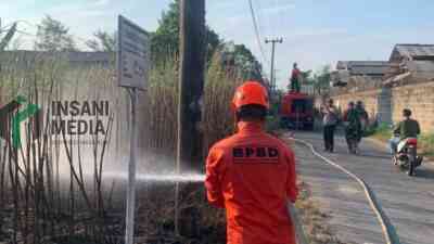 KDKMP di Dekat Lahan Tebu, Nyaris Terbakar saat Lahan di Srengat, Blitar Terbakar
