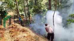 Lahan Perhutani Karanggayam Kebumen Terbakar, Petugas Padamkan Api dengan Cara Manual Petugas Memadamkan Api yang Membakar Hutan di Desa Karanggayam Kecamatan Karanggayam Kabupaten Kebumen Jawa Tengah dengan Cara Manual