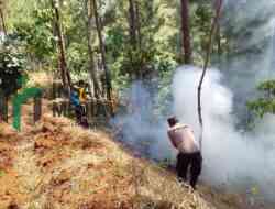 Lahan Perhutani Karanggayam Kebumen Terbakar, Petugas Padamkan Api dengan Cara Manual