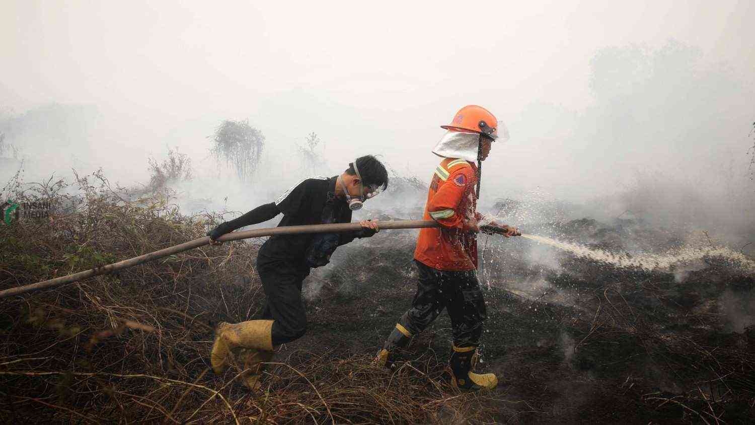 Gagal Cegah Karhutla, Negara Dinilai Bekerja Mode Pemadam Karhutla