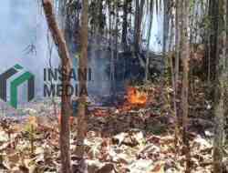 Kebakaran Lahan Selorejo Blitar Capai 1,5 Hektare, Warga Diimbau Tak Bakar Sembarangan