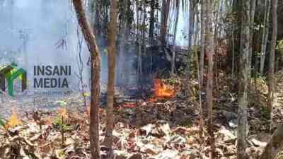 Kebakaran Lahan Perbatasan Desa Selorejo dan Desa Pogajih Kecamatan Selorejo Kabupaten Blitar