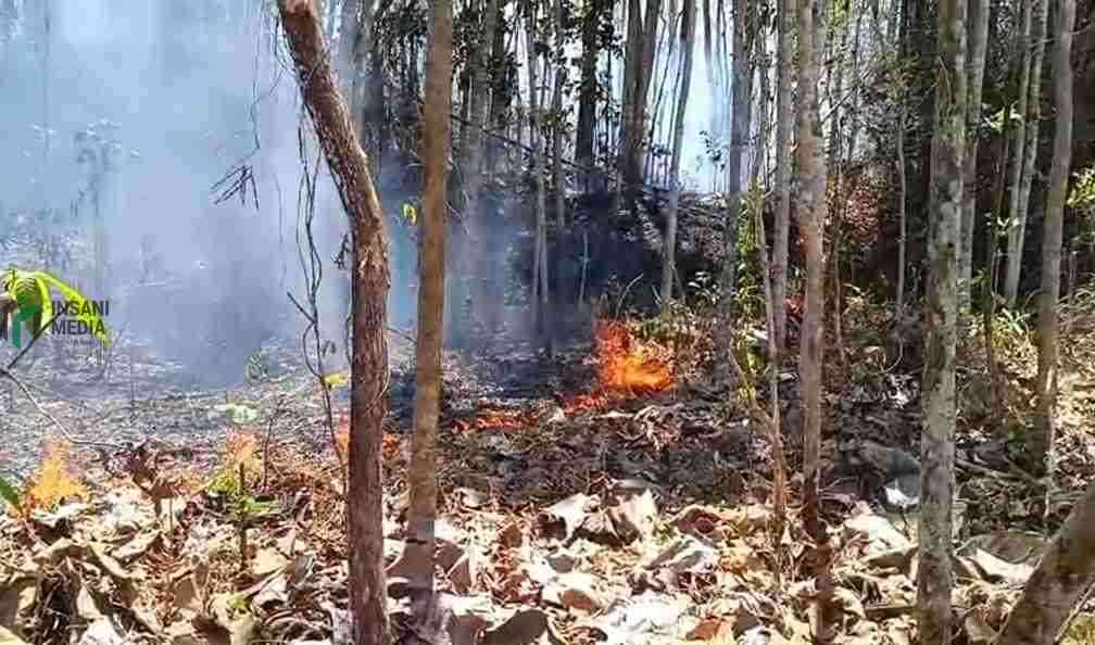 Kebakaran Lahan Selorejo Blitar Capai 1,5 Hektare, Warga Diimbau Tak Bakar Sembarangan Kebakaran Lahan Perbatasan Desa Selorejo dan Desa Pogajih Kecamatan Selorejo Kabupaten Blitar