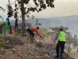 Kebakaran 1,5 Hektare Lahan Perbukitan di Sruweng, Kebumen Terbakar