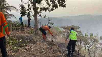 Kebakaran 1,5 Hektare Lahan Perbukitan di Sruweng, Kebumen Terbakar