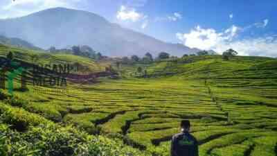 Blitar