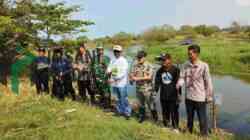 Sebanyak 5 Ribu Mangrove Ditanam di Pantai Roro Inten Purworejo