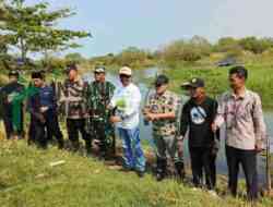 Sebanyak 5 Ribu Mangrove Ditanam di Pantai Roro Inten Purworejo