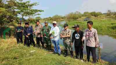 PNM Cabang Purworejo Tanam 5.000 Pohon Mangrove di Pantai Roro Inten Desa Pagak Kecamatan Ngombol Kabupaten Purworejo
