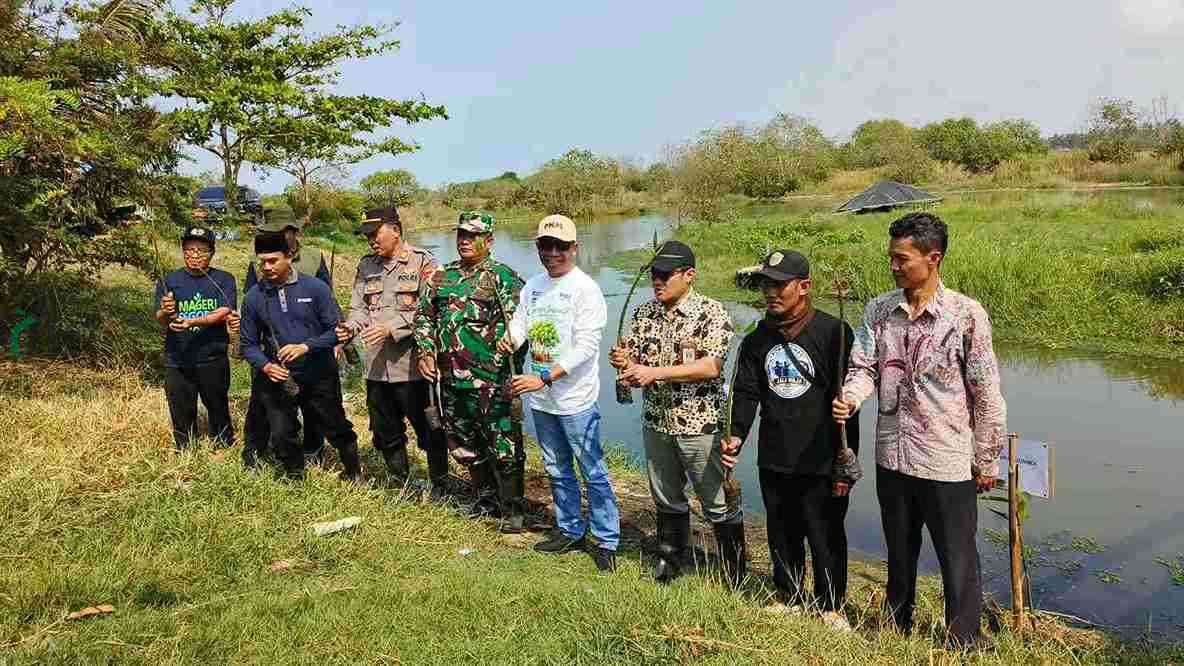 Sebanyak 5 Ribu Mangrove Ditanam di Pantai Roro Inten Purworejo PNM Cabang Purworejo Tanam 5.000 Pohon Mangrove di Pantai Roro Inten Desa Pagak Kecamatan Ngombol Kabupaten Purworejo