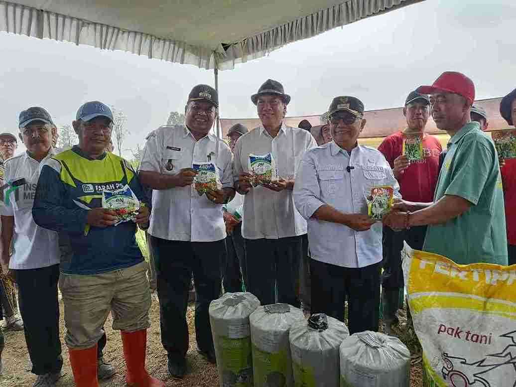 Cabai Rawit Mulai Ditanam di Kecamatan Udanawu, Blitar, Petani dapat Bantuan Saprodi Petani Cabai di Kecamatan Udanawu Kabupaten Blitar Mendapatkan Bantuan Saprodi