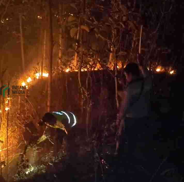 Kebakaran 2 Lahan di Kebumen Petugas Berjibaku Melawan Kobaran api Petugas Kepolisian dari Polres Kebumen Memadamkan Api yang Membakar Lahan