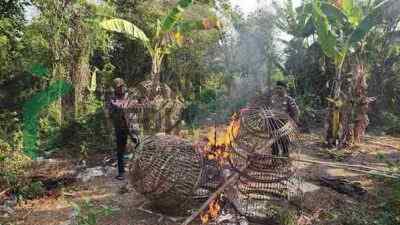 Polisi Bubarkan Arena Judi Sabung Ayam di Sedati, Sidoarjo Samping Kantor BPJS
