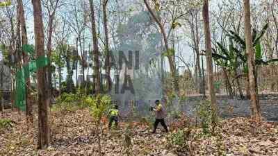 Anggota Polsek Ludoyo Timur Memadamkan Api yang Membakar Hutan Jati di Lingkungan Jegu